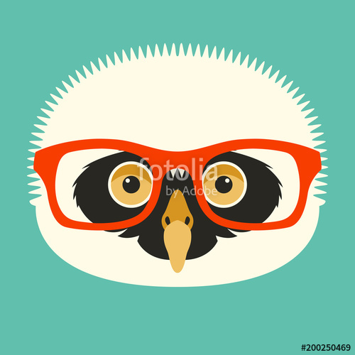 500x500 Owl In Glasses Face Vector Illustration Flat Stock Image