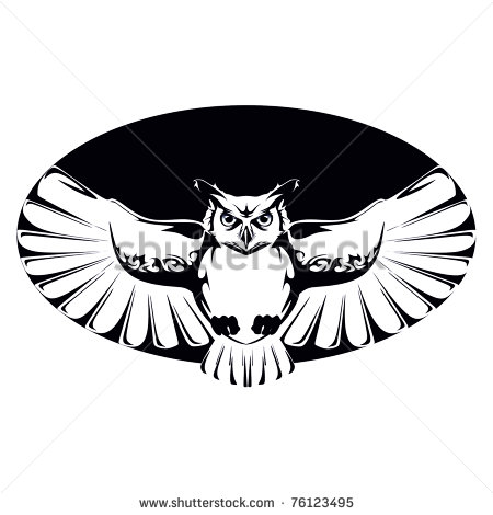 Owl Head Vector