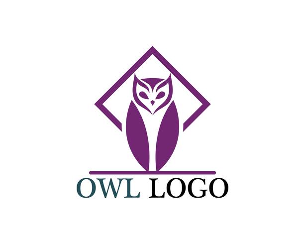 Owl Head Bird Logo Vector Template Animal 613x490 Owl Head Bird Logo Vector Template Animal