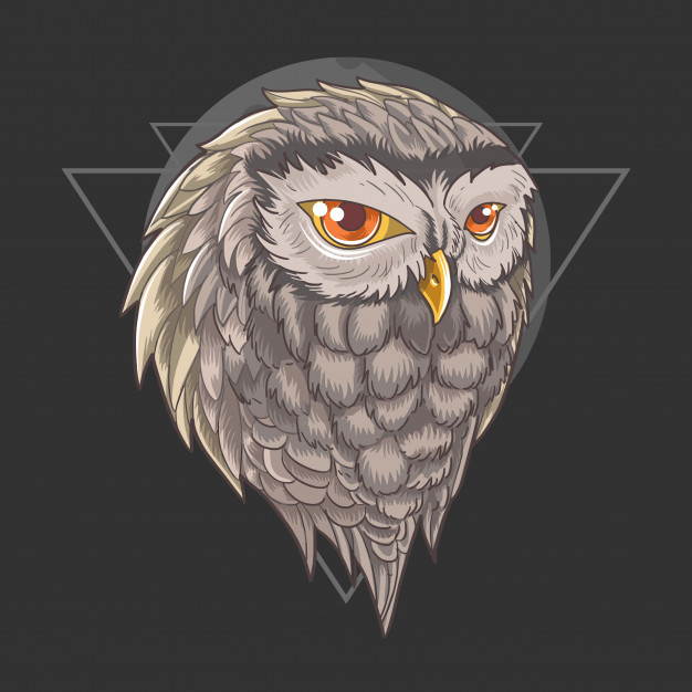 Owl Head Vector Vector Premium Download 626x626 Owl Head Vector Vector Premium Download