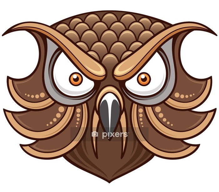 Vector Illustration Of Cartoon Owl Head Wall Decal 700x613 Vector Illustration Of Cartoon Owl Head Wall Decal