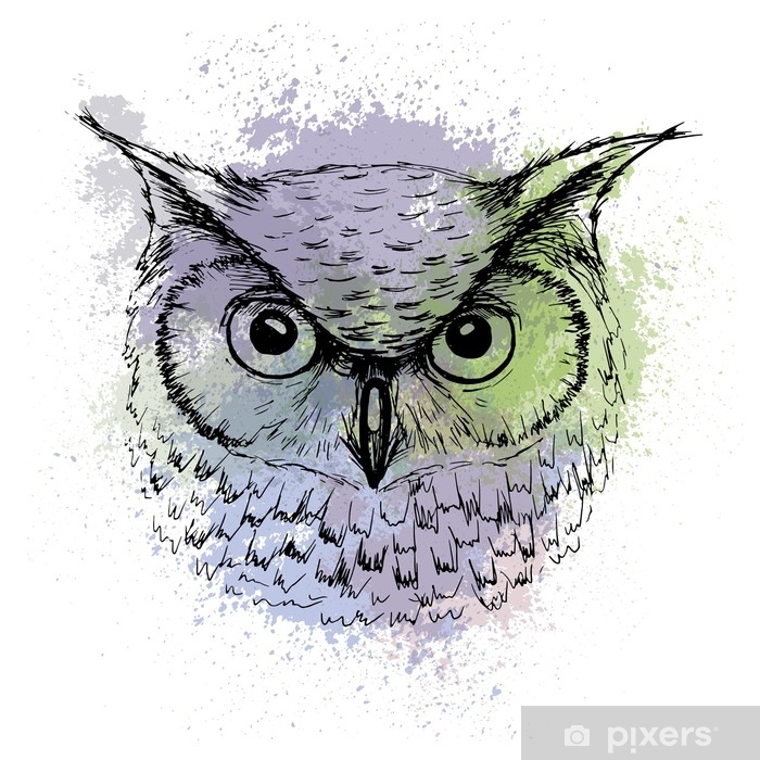 Vector Sketch Of Owl Head On A Background Of Colored Watercolor 700x700 Vector Sketch Of Owl Head On A Background Of Colored Watercolor