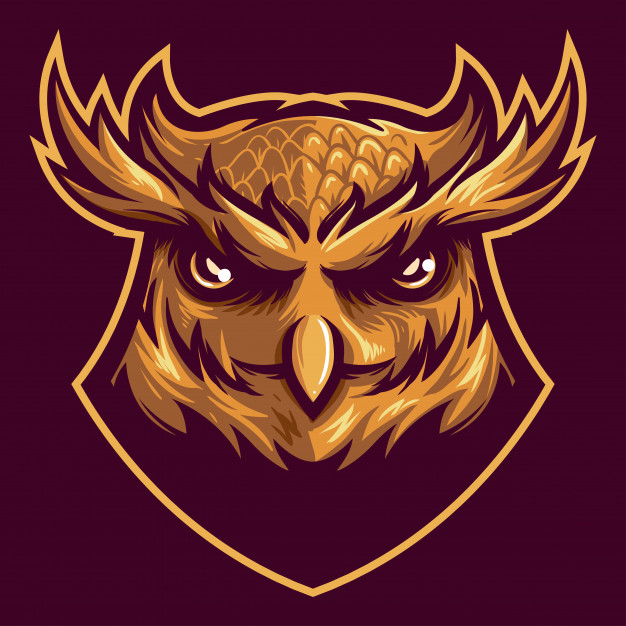 Elegant Owl Head Logo Mascot Vector Premium Download 626x626 Elegant Owl Head Logo Mascot Vector Premium Download