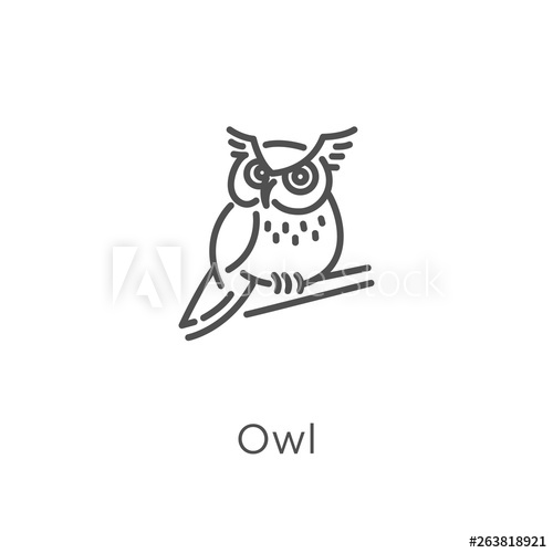 Poster Wisdom Owl Hand Drawn Outline Doodle Icon Owl Bird 500x500 Poster Wisdom Owl Hand Drawn Outline Doodle Icon Owl Bird