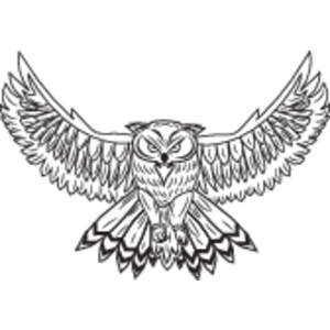 300x300 Owl Logo, Vector Logo Of Owl Brand Free Download