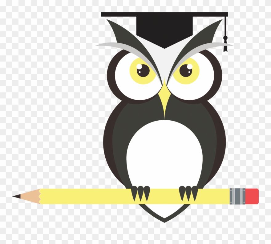 880x793 Eva Van Emden Vaneditor