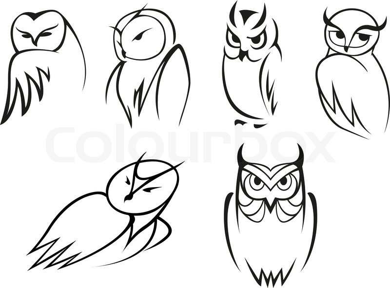 Outline Cartoon Owl Birds In Different Stock Vector Colourbox 800x591 Outline Cartoon Owl Birds In Different Stock Vector Colourbox