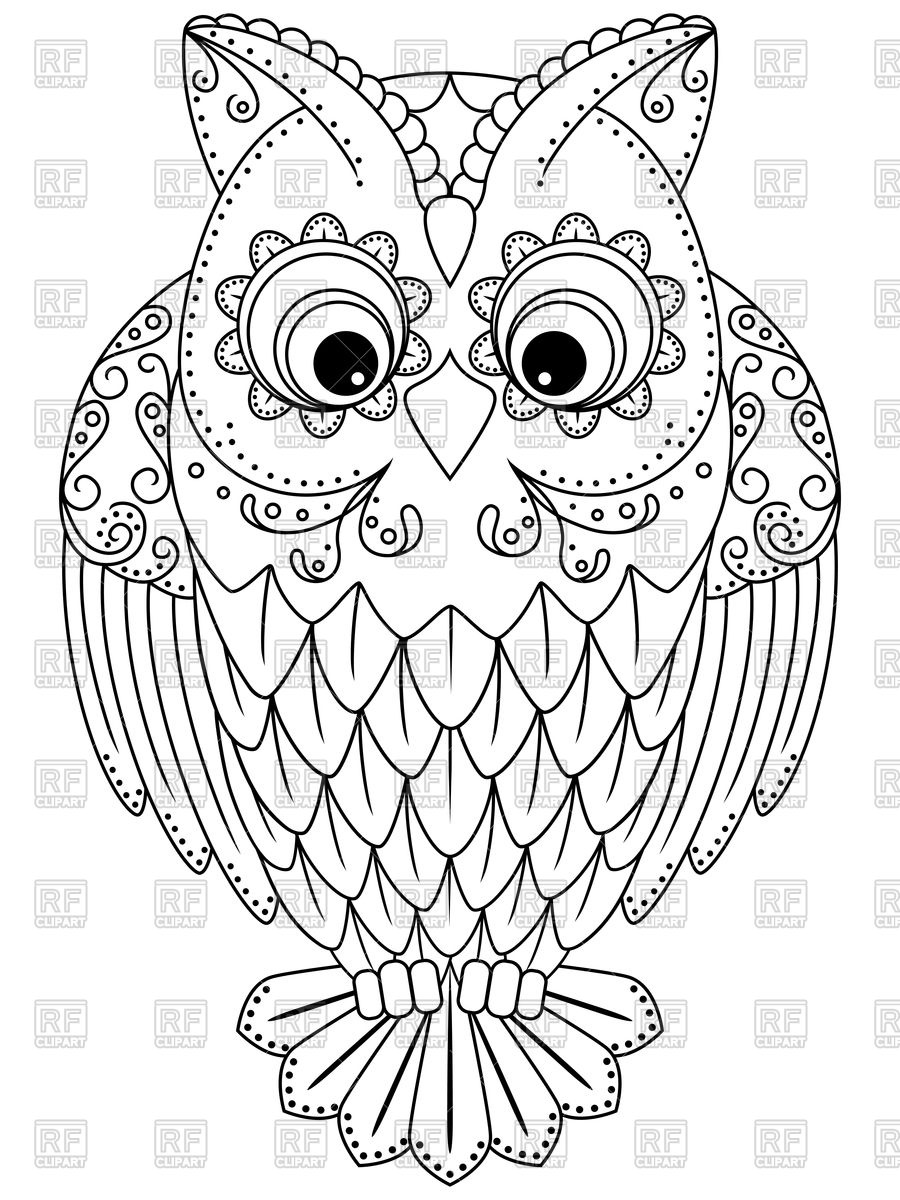Outline Of Cartoon Owl Vector Image Of Plants And Animals 900x1200 Outline Of Cartoon Owl Vector Image Of Plants And Animals