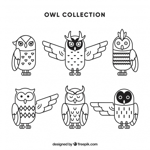Owl Outline Vectors, Photos And Free Download 626x626 Owl Outline Vectors, Photos And Free Download