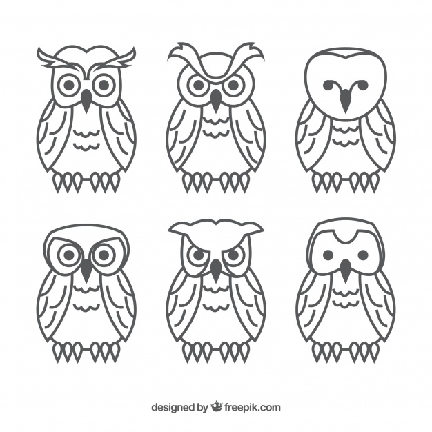 Set Of Outline Owls Vector Free Download 626x626 Set Of Outline Owls Vector Free Download