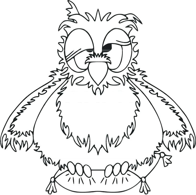 Owl Drawing Outline 800x798 Owl Drawing Outline