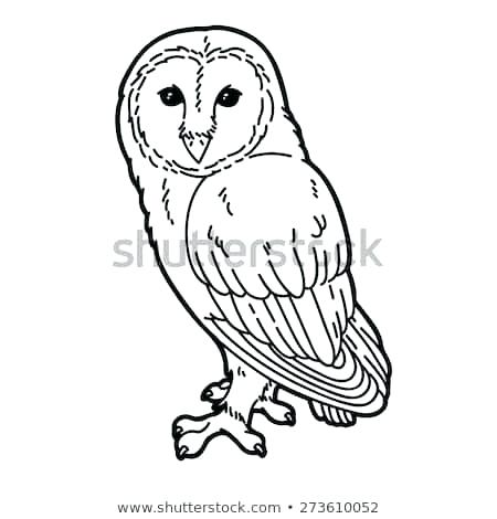 Owl Drawing Outline 450x470 Owl Drawing Outline