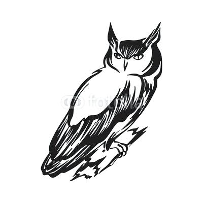 Owl Outline Drawing 400x400 Owl Outline Drawing