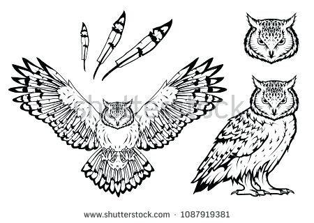 Owl Outline Drawing 450x320 Owl Outline Drawing