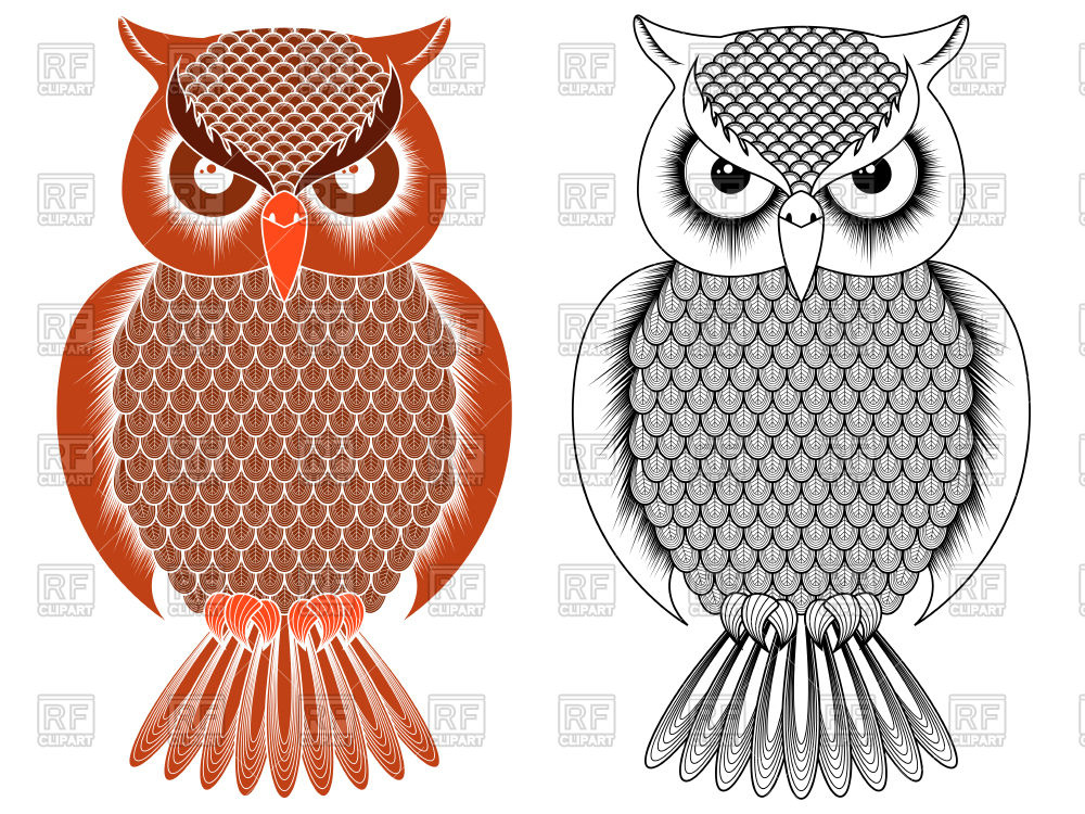 Black Outline And Orange Owl Vector Image Of Plants And Animals 1000x750 Black Outline And Orange Owl Vector Image Of Plants And Animals