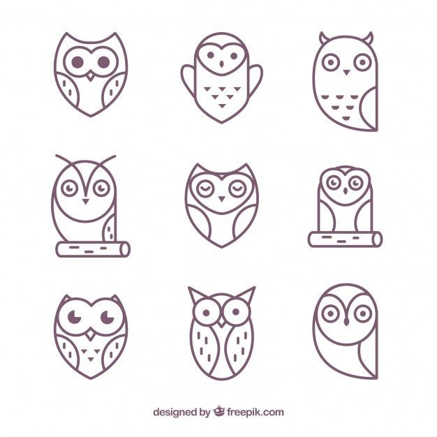 Modern Outline Owl Pack Free Vector Animeampart Vector Free, Owl 626x626 Modern Outline Owl Pack Free Vector Animeampart Vector Free, Owl
