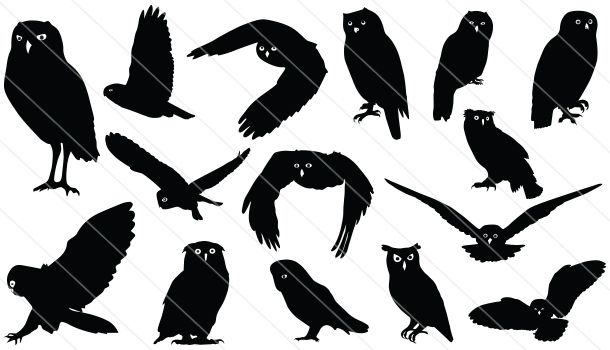 610x350 Owl Silhouette Vector Graphics Silhouette Clip Art Silhouette