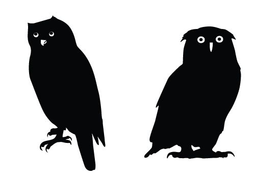 500x350 Owl Silhouette Vector Graphics Free Download Owl Vectors