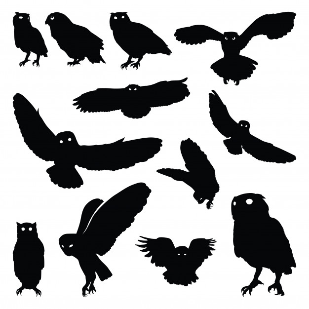 626x626 Owl Bird Flying Stand Motion Silhouette Set Vector Premium Download