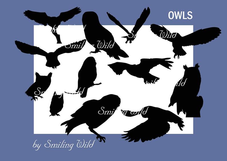 794x562 Owl Clipart Vector Art Owl Bird Clipart Cute Owls Owl Etsy