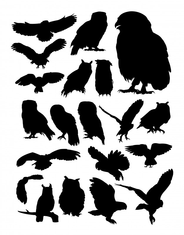 Owl Silhouette Vector at Vectorified.com | Collection of Owl Silhouette ...