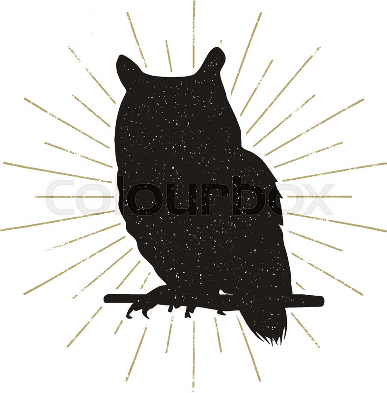 788x800 Owl Silhouette Shape Isolated On White Stock Vector Colourbox