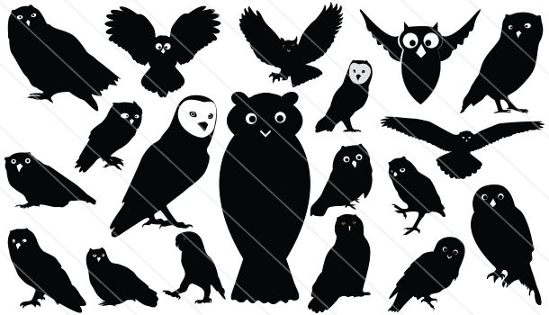 610x350 Owls Silhouette Vector