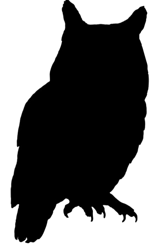 554x827 Silohette Clipart Owl Silhouette For Free Download And Use Images