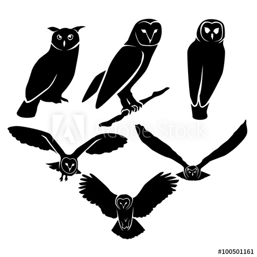 500x500 Owl Silhouette Logo Icon Vector