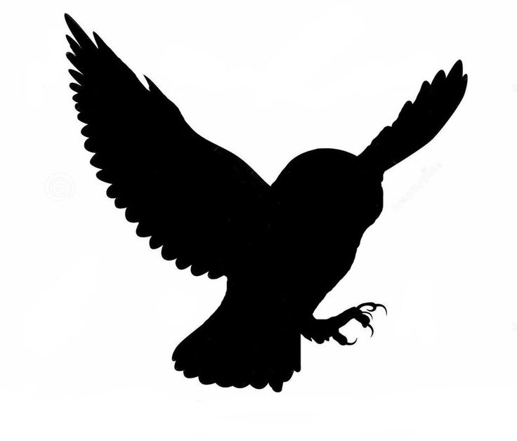 736x628 Flying Owl Silhouette Tattoo