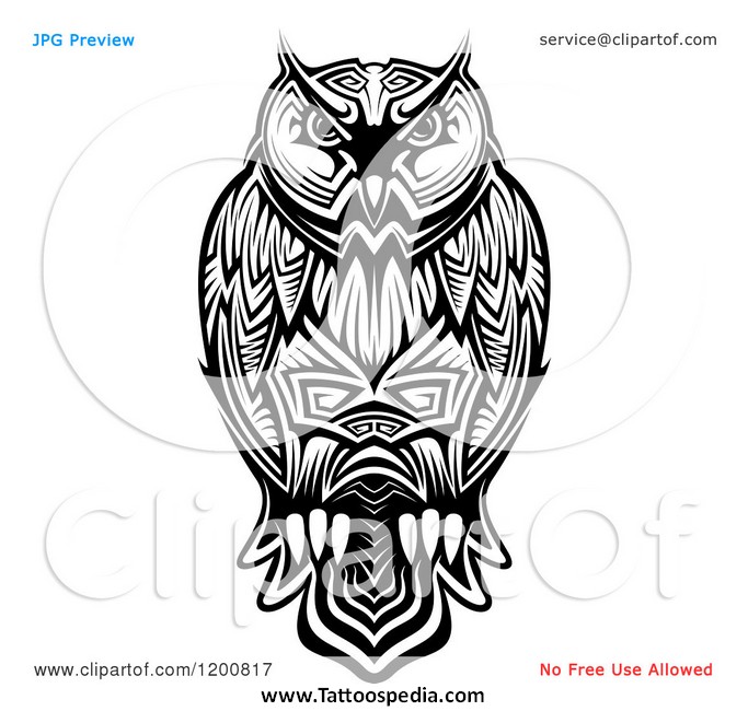 683x650 Owl Tattoo Vector