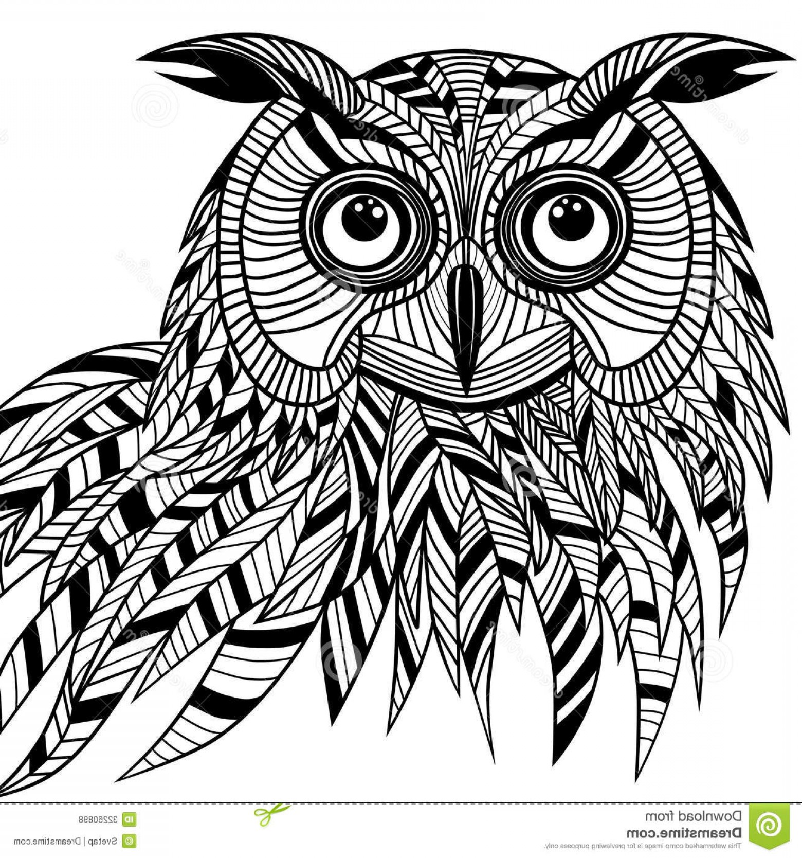1560x1668 Owl Vector Design Soidergi