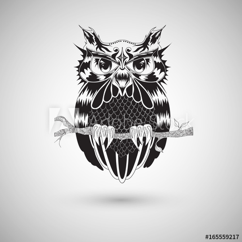 500x500 Graphic Drawing Of Owl, Tattoo Design, Vector Illustration