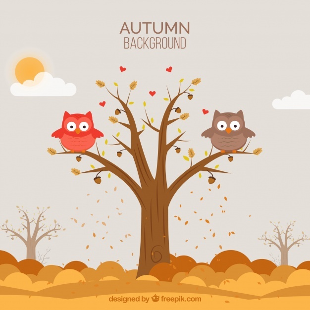 626x626 Owl Tree Vectors, Photos And Free Download