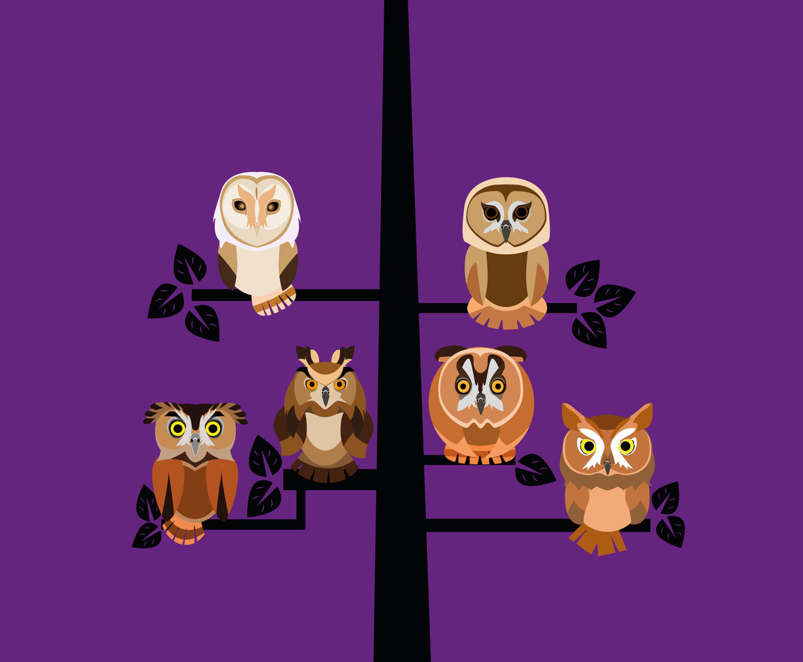 1136x936 Owls On A Tree Vector Vector Art Graphics