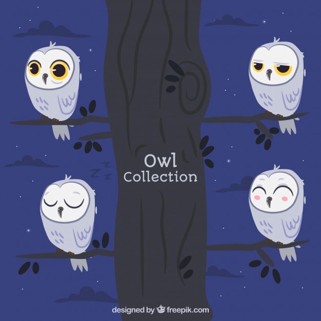 626x626 Set Of Owls On Tree Vector Free Download