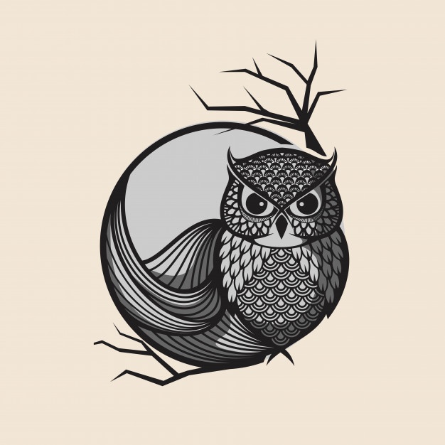 626x626 Vector Owl Bird Vector Premium Download