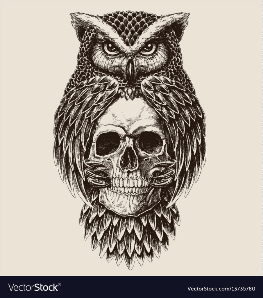 905x1024 Coloring Coloring Elaborate Drawing Of Owl Holding Skull Royalty