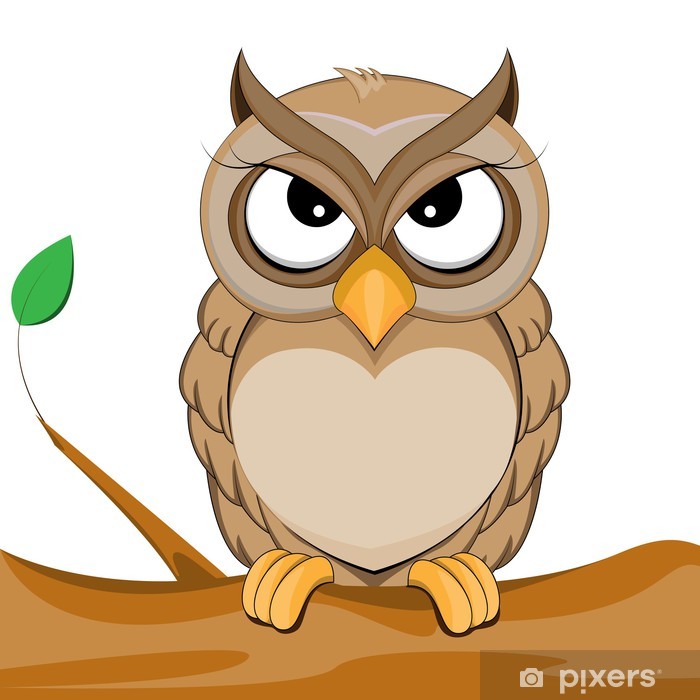 700x700 Cute Owl Vector Of Illustration Wall Mural