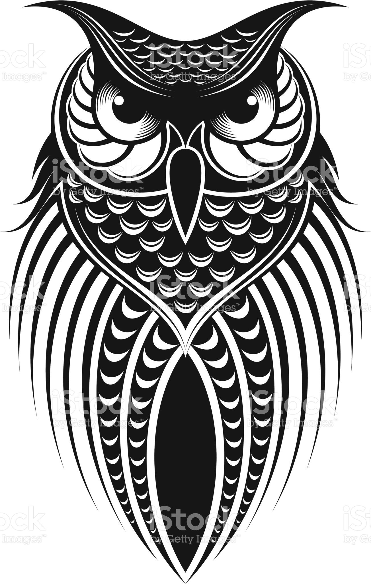 1303x2048 Owl Illustration Owls Owl Illustration, Stencils, Owl Vector