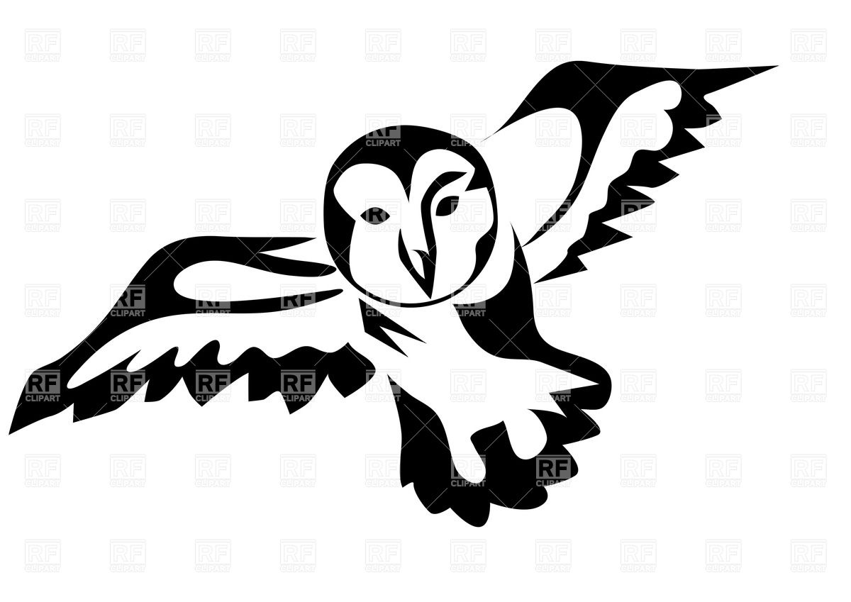 Ink Drawn Owl Vector Image Of Plants And Animals Arkela 1200x849 Ink Drawn Owl Vector Image Of Plants And Animals Arkela