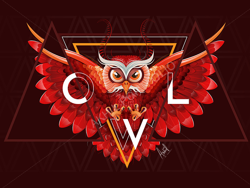 Owl Vector Art 800x600 Owl Vector Art