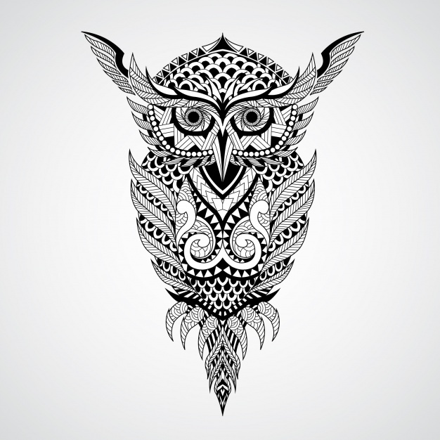 Owl Vectors, Photos And Free Download 626x626 Owl Vectors, Photos And Free Download