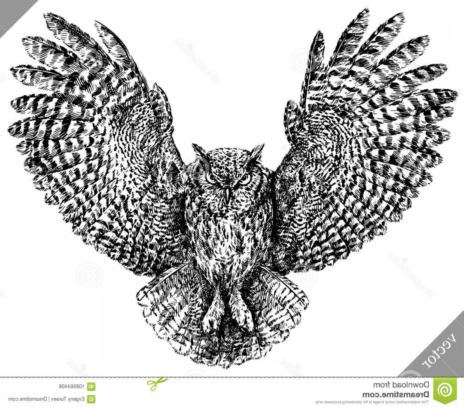 Black White Engrave Isolated Owl Vector Illustration Black White 1560x1374 Black White Engrave Isolated Owl Vector Illustration Black White
