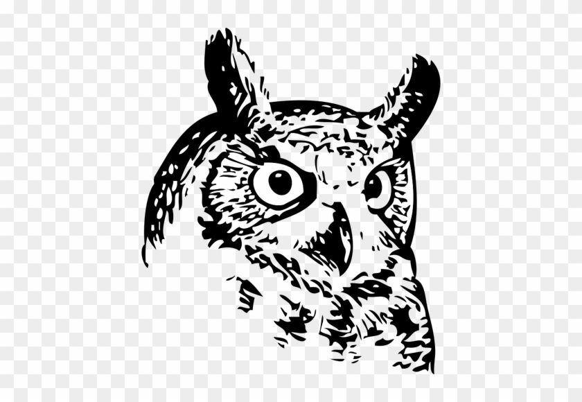 840x580 Owl Head Vector Image
