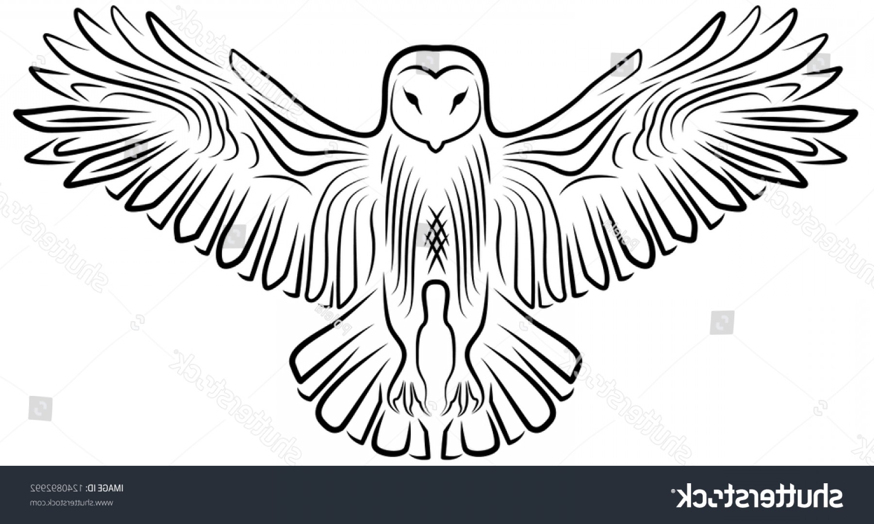 1800x1080 Vector Black White Flying Owl Open Catchsplace