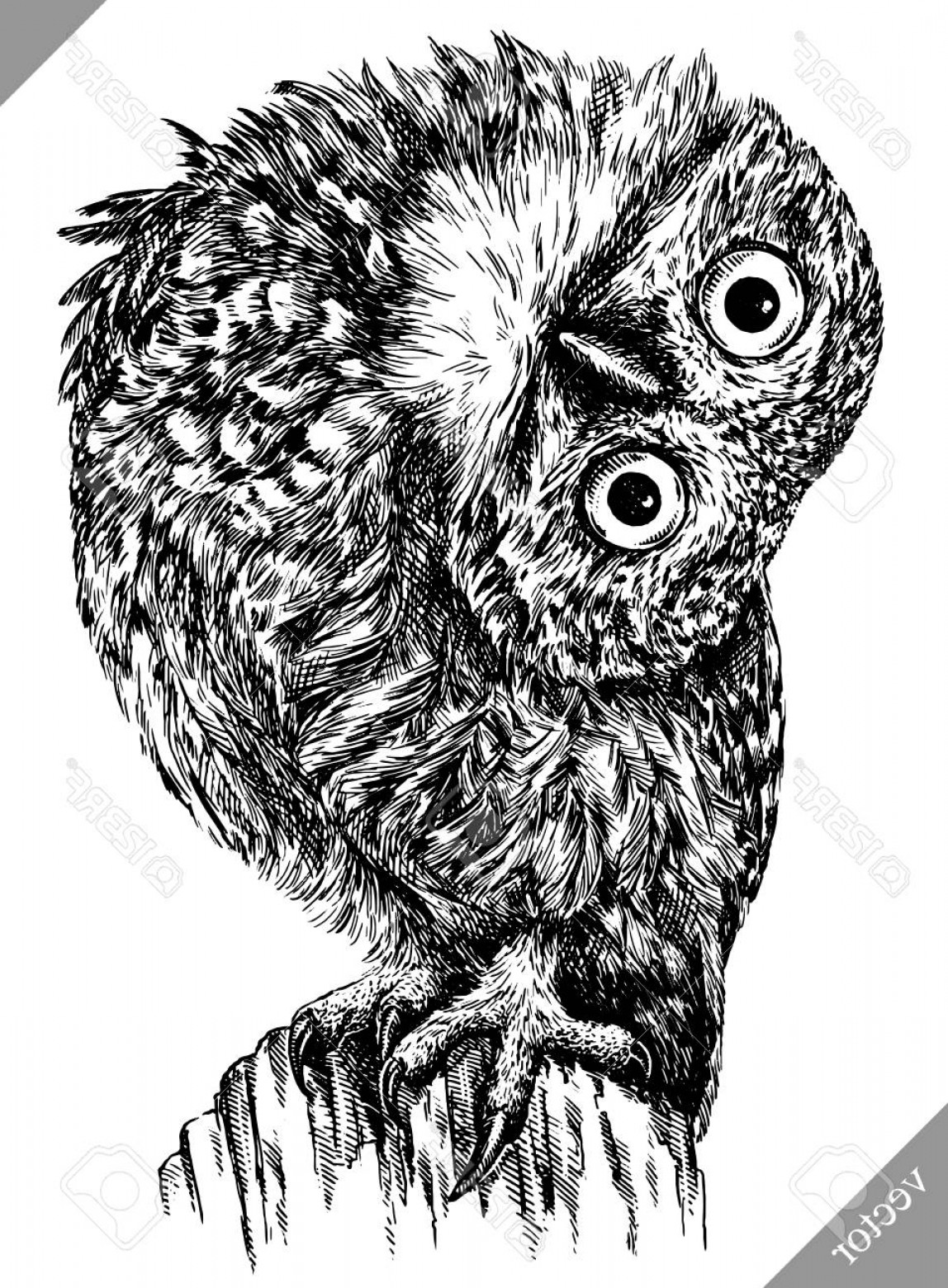 1148x1560 Black Owl Vector Art Cultracing