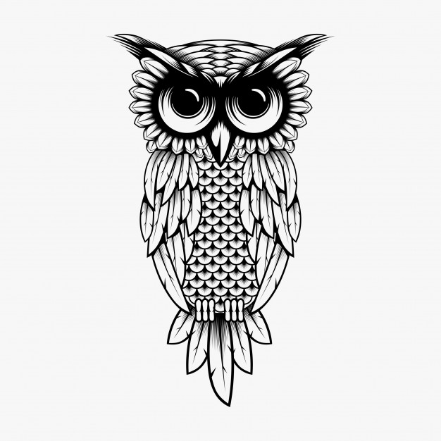 Owl Vector Free at Vectorified.com | Collection of Owl Vector Free free ...