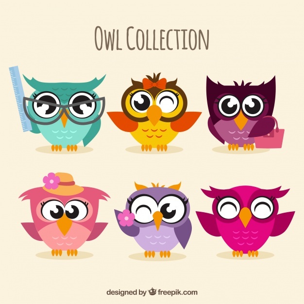 626x626 Owl Vectors, Photos And Free Download