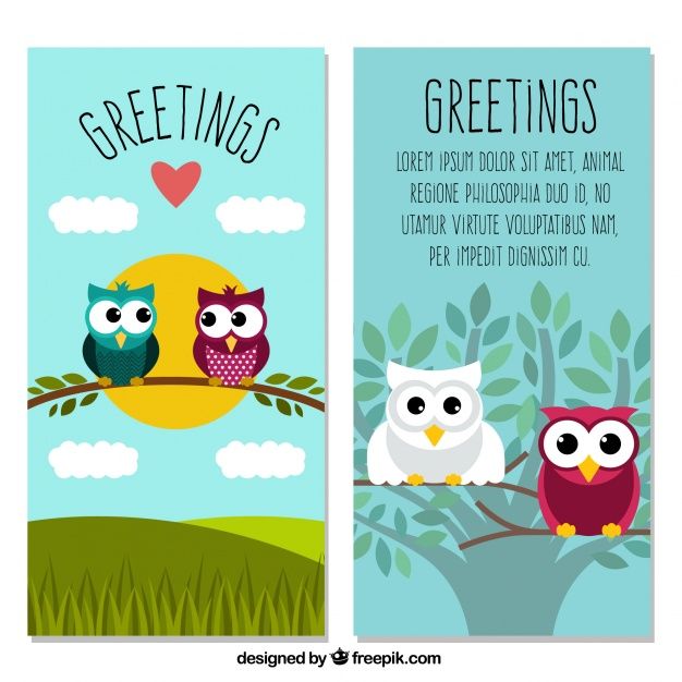 626x626 Congratulations With Beautiful Owls Vector Free Download